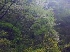 -山西通天峡景区