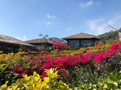 -优游吧斯邹族文化部落