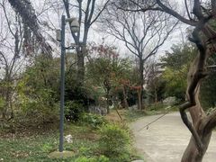 -鱼凫人家