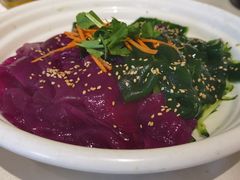 -食家鸽园