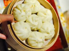 -二荆条·蜀鲜汇城市森林火锅