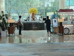 -Plush大堂酒廊(北京金融街威斯汀大酒店)