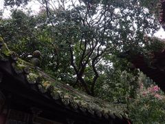 -报恩寺(平武县)