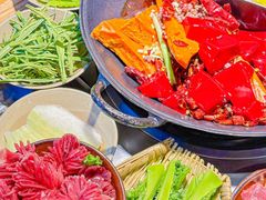 -阳阳老火锅(小南门店)