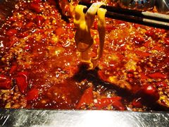 -二荆条·蜀鲜汇城市森林火锅