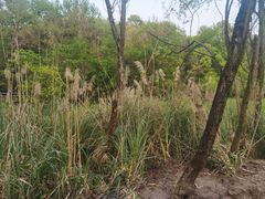 -西湖风景区-江洋畈生态公园