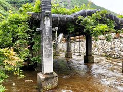 -花溪风景区