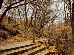 -叠溪松坪沟景区