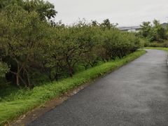 -杭州灵山景区