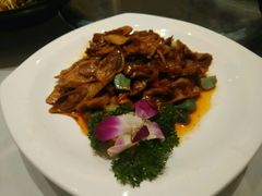 -龙福成肥牛火锅(文昌店)