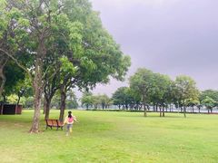 -顺峰山公园