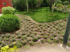 -南宫五洲植物乐园