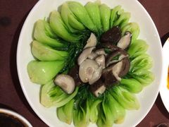 渝信川菜(工体店)-渝信川菜(工体店)