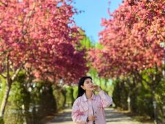 -石家庄市植物园