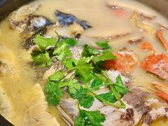 -吴越荣记苏州菜·松鼠桂鱼100%活鱼现做(斜塘老街店)