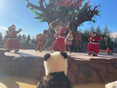 -青岛方特梦幻王国