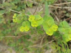-苍岩山风景名胜区