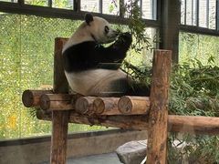 -上海野生动物园