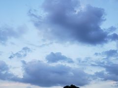 -艾溪湖湿地公园