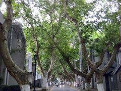 -长江路历史文化街区