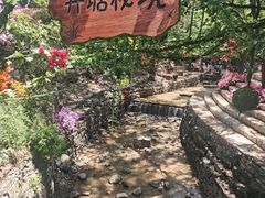 -井塘古村