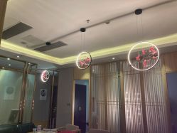 -盘子女人坊(珠海拱北旗舰店)