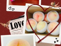 -南汇新场正宗水蜜桃采摘