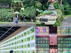 -广东中医药博物馆