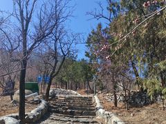 -阳台山自然风景区