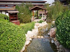 -天津东丽湖恒大酒店-温泉自助餐厅