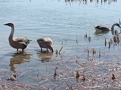 -南海子公园