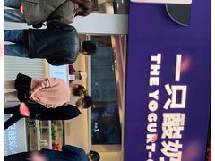 -一只酸奶牛(八一路店)