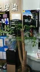 -SH名剪坊.造型设计