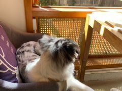 -YLK云南小粒咖啡·云里咖(二号店)