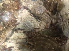 -盒马鲜生(枣园路店)