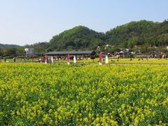 -红山村