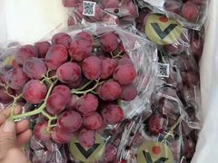 -西郊国际农产品交易中心