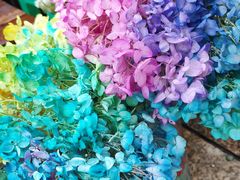 -重庆市江北嘴中央商务区中央公园