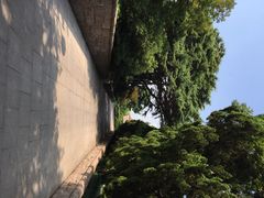 八大关景区-八大关景区