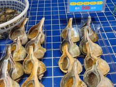 -宝轩渔府·老字号海鲜·正宗津菜(水上店)