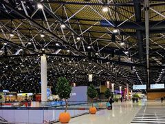 -谢列梅捷沃国际机场