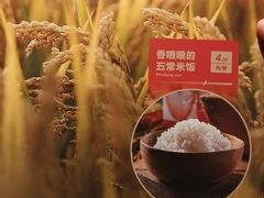-湘间田舍(北仑银泰店)
