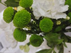 -HEYAN长风荷妍专业脱毛美肤
