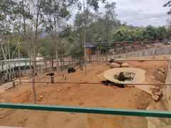 -泉州海丝野生动物世界