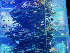 -泉城欧乐堡海洋极地世界