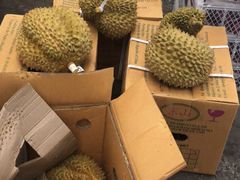 -西郊国际农产品交易中心