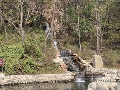 -大连天门山国家森林公园
