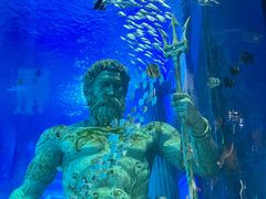 -正佳极地海洋世界