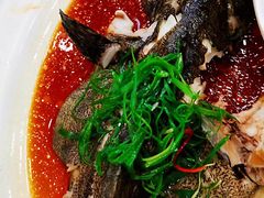 -湛江渔港·大排档(乐园路总店)