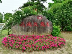 -鹅湖玫瑰文化园